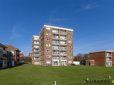 Picture 12